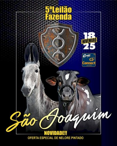 5° LEILÃO FAZENDA SÃO JOAQUIM