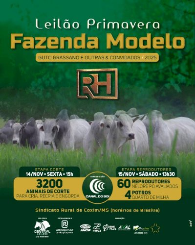LEILÃO PRIMAVERA FAZENDA MODELO - GUTO GRASSANO - ETAPA CORTE