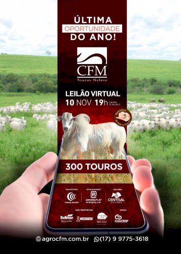 LEILÃO VIRTUAL CFM