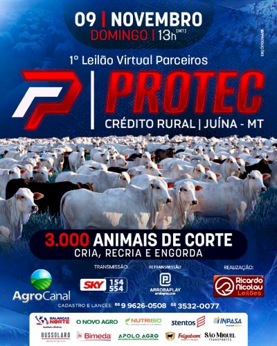 1º LEILÃO VIRTUAL PARCEIROS PROTEC
