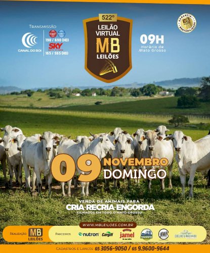 522° LEILÃO VIRTUAL MB LEILÕES
