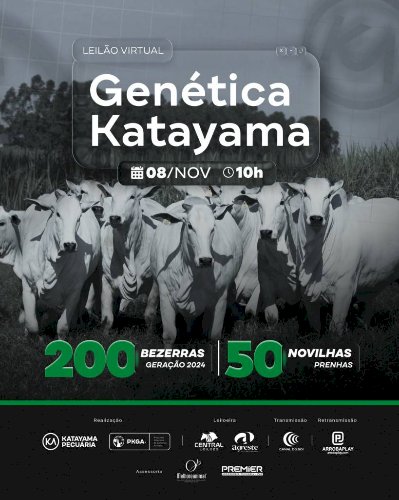 LEILÃO VIRTUAL GENÉTICA KATAYAMA