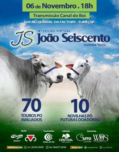 8º LEILÃO VIRTUAL JOÃO SEISCENTO