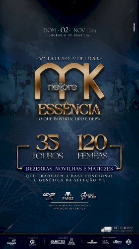 5° LEILÃO VIRTUAL NELORE MK
