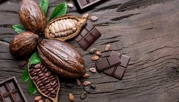 Moagens em queda e ajustes de posição sinalizam cautela no mercado de cacau