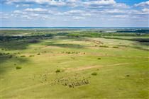 TSB: avanço ambiental ou barreira ao agro?