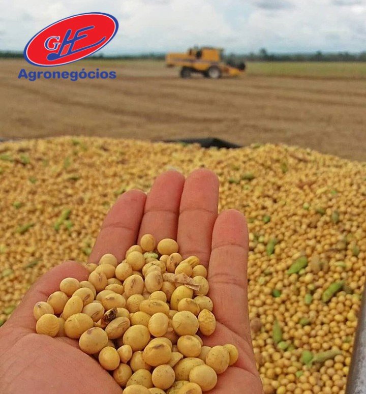 Soja fecha outubro em alta com trégua comercial