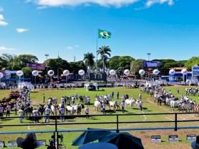 ABCZ divulga o regulamento da ExpoZebu 2026