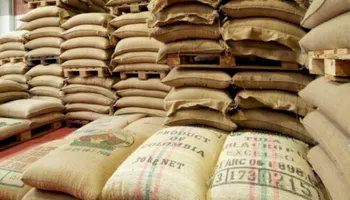 Nova safra, problema antigo: gargalos nos portos elevam prejuízo de exportadores de café