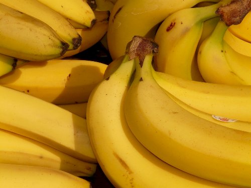 Certificação e manejo integrado fortalecem a produção de banana na Bahia