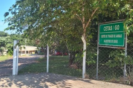 Cetas-Goiânia suspende entrada e saída de aves após caso de avipoxvírus