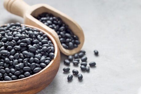 Preços do feijão apresentam movimentos distintos