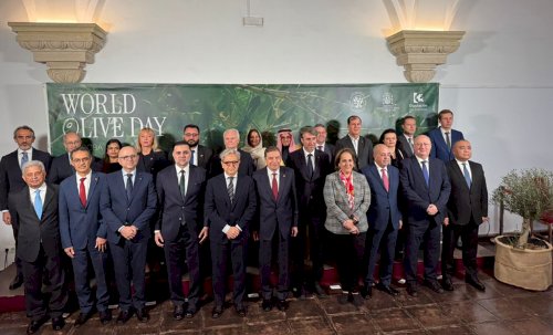 Brasil reforça compromisso com setor olivícola durante celebração do World Olive Day na Espanha