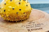 PR: projeto destaca pequenos produtores e transforma a cadeia leiteira