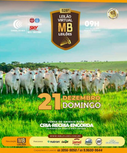 528° LEILÃO VIRTUAL MB LEILÕES