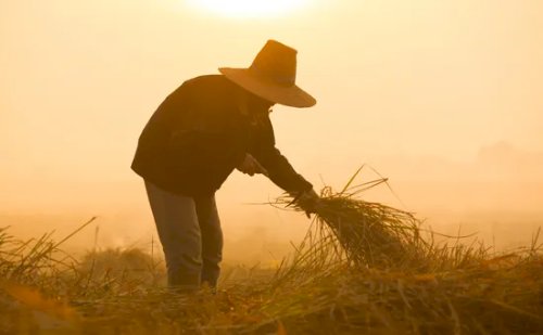 Enem: tema aplicado na região de Belém valoriza trabalhadores rurais