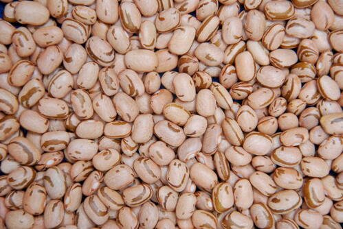 Mercado de feijão segue em queda com aumento da oferta e demanda restrita