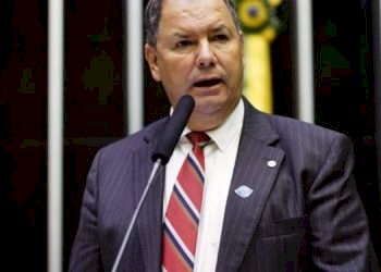 Comissão de Agricultura debate ampliação da competitividade da cadeia de proteínas vegetais e animais