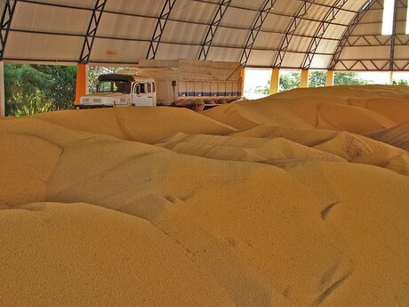 Negócios da soja travam no início de dezembro com produtor focado no clima