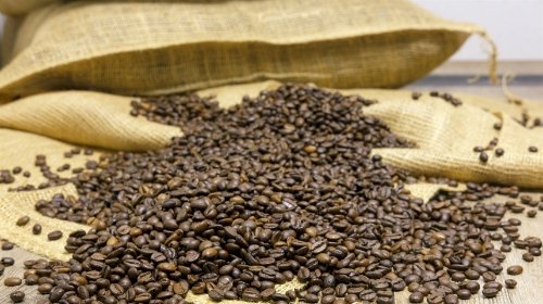Infraestrutura estrangulada nos portos gera prejuízo de R$ 8,7 mi a exportadores de café em outubro