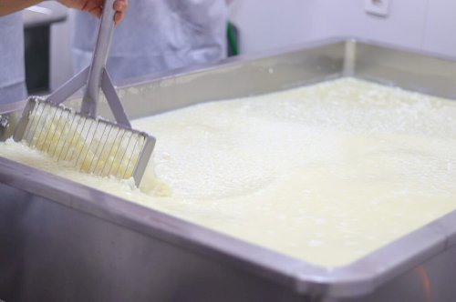 Governo de Goiás publica novo edital para melhoria de agroindústrias de pequeno porte