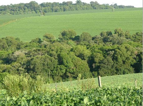 IBGE adia Censo Agro para 2027 por falta de recursos