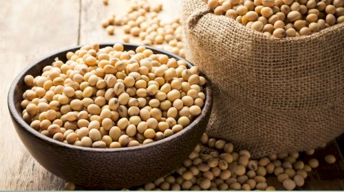 Agroindústria puxa nova revisão positiva do PIB da cadeia da soja e do biodiesel