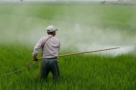 STF mantém regras de isenção fiscal para agrotóxicos