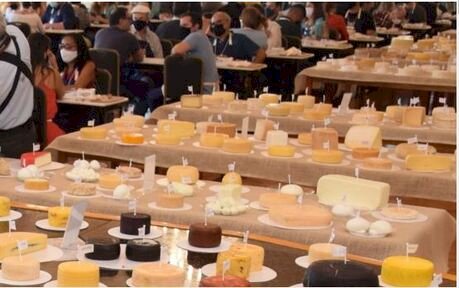 Queijos puxam alta de preços no Brasil