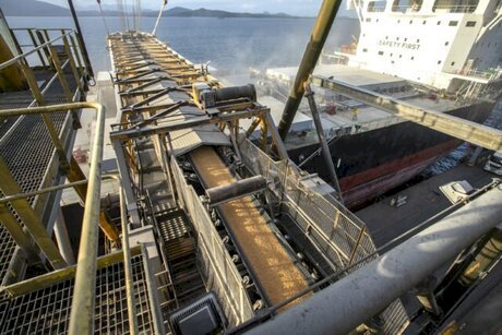 Milho pressiona preços internos e abre janela para exportação