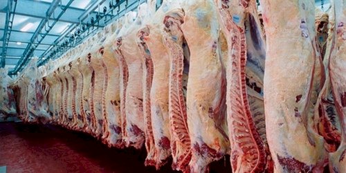 Vietnã habilita mais quatro frigoríficos brasileiros para exportar carne bovina