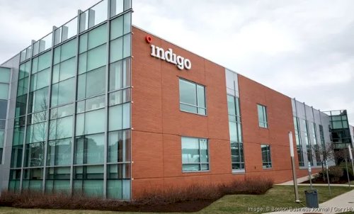 Indigo vende 2,85 milhões de créditos de carbono à Microsoft em contrato de 12 anos