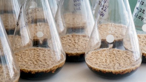 Mercado de biodefensivos cresce 18% na safra 2024-25