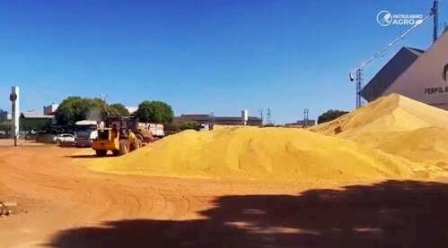 Cotações Agropecuárias