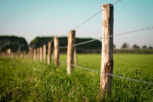 Justiça suspende cobrança de cerca de R$ 1,8 milhão em ITR por erro em áreas ambientais declaradas