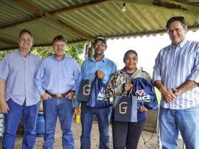 Primeiros animais inseridos no Programa Uberaba Mais Genética são inseminados
