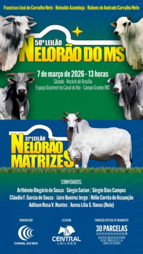 50º LEILÃO NELORÃO DO MS E 32º LEILÃO NELORÃO MATRIZES