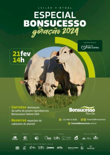 LEILÃO VIRTUAL ESPECIAL BONSUCESSO GERAÇÃO 2024
