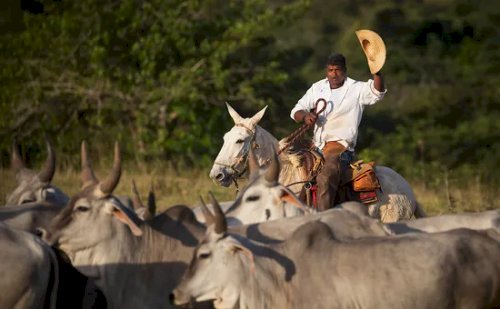 Produtor rural terá que trocar o chapéu pelo capacete? Governo esclarece
