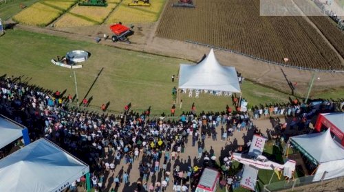 Colheita do Arroz conecta campo e mercado