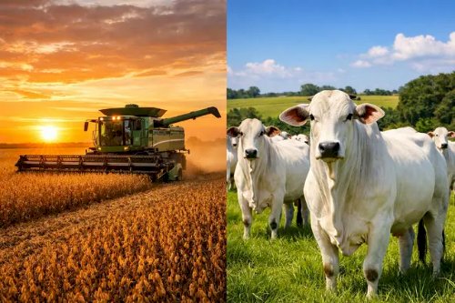 Agro brasileiro exporta US$ 10,8 bilhões em janeiro/26