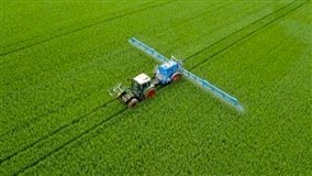 Dessecação exige atenção à qualidade da aplicação