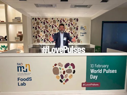 Nova Dehli e Roma colocam o Feijão do Brasil em outro nível no comércio global