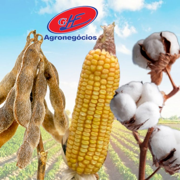 Cotações Agropecuárias