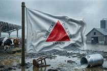 Emater-MG contabiliza 402 produtores rurais prejudicados pelas chuvas na Zona da Mata