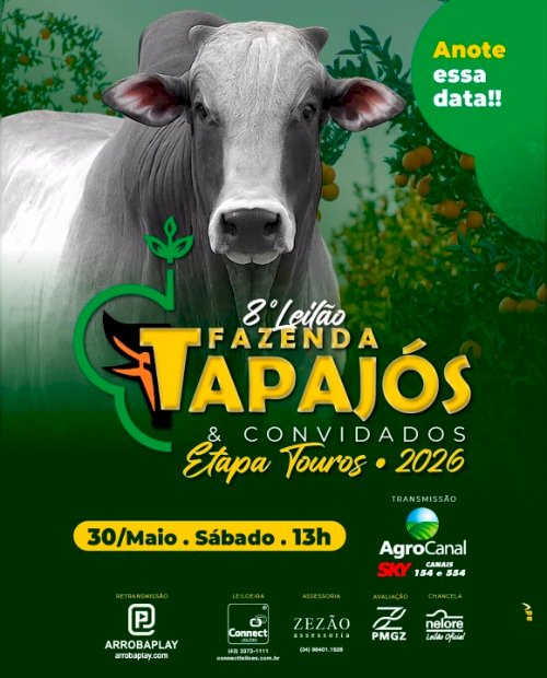 8º LEILÃO FAZENDA TAPAJÓS & CONVIDADOS - ETAPA TOUROS