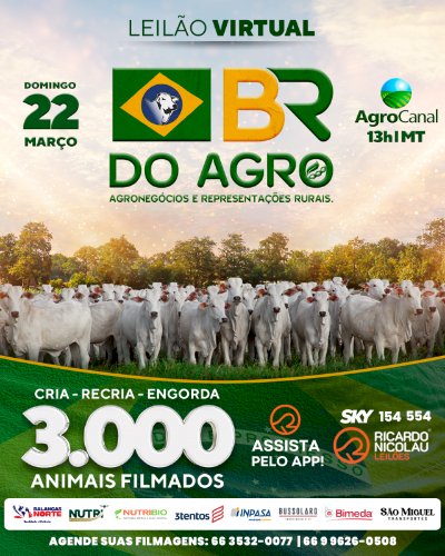 LEILÃO VIRTUAL BR DO AGRO
