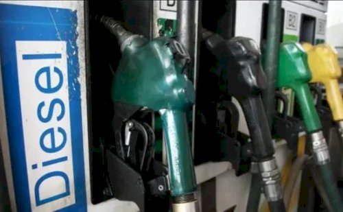 Falta de diesel paralisa colheita no Rio Grande do Sul e mobiliza entidades do agro