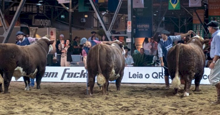 ABHB divulga programação da 20ª Exposição Nacional Hereford e Braford