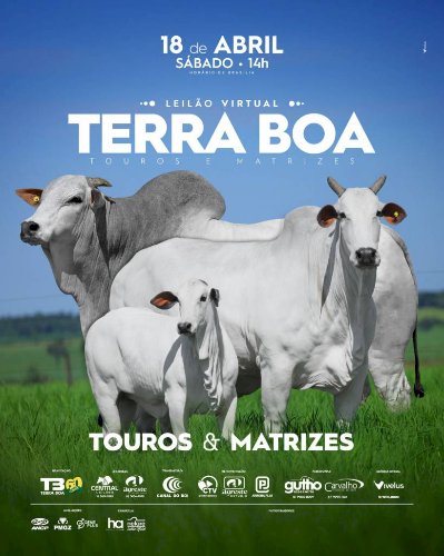 LEILÃO VIRTUAL TERRA BOA